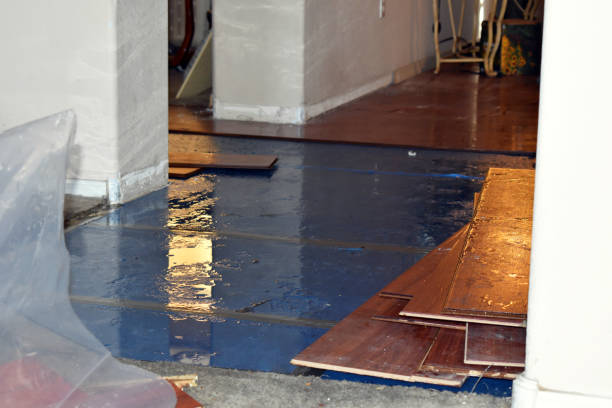 Professional Flood Cleanup technician working in Bailey, TX